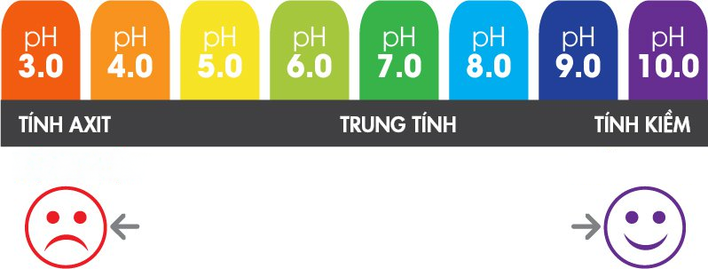 Thang đo pH Thang đo pH